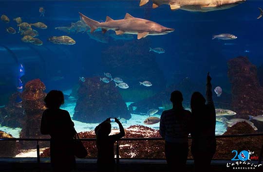 Barcelona, ciudad del agua