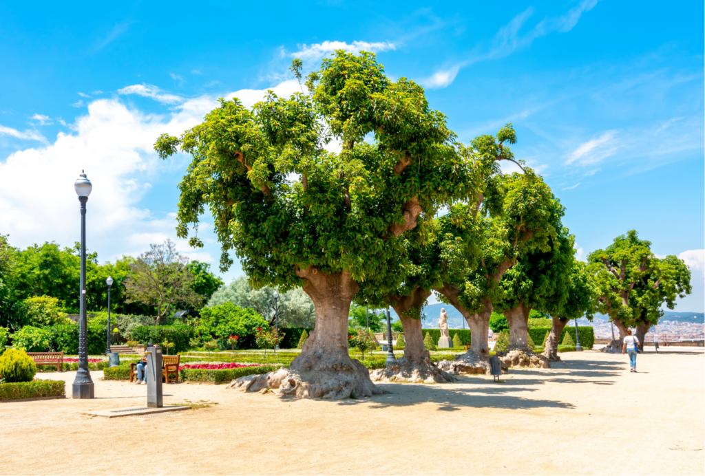 The best parks in Barcelona for walking this fall